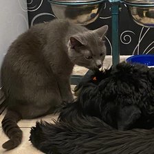 Схема вышивки «я с тобой»