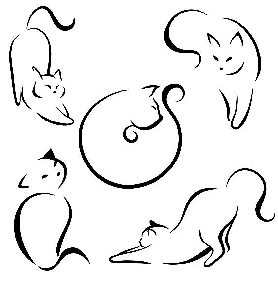 Графика кошки - монохром - оригинал