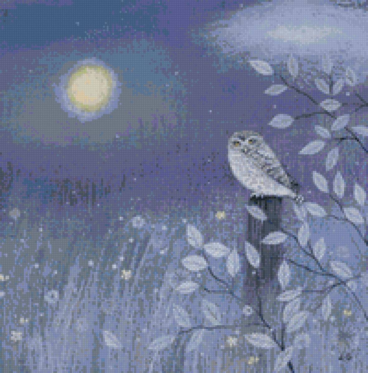 Люси гроссмит - природа ночь сова - предпросмотр