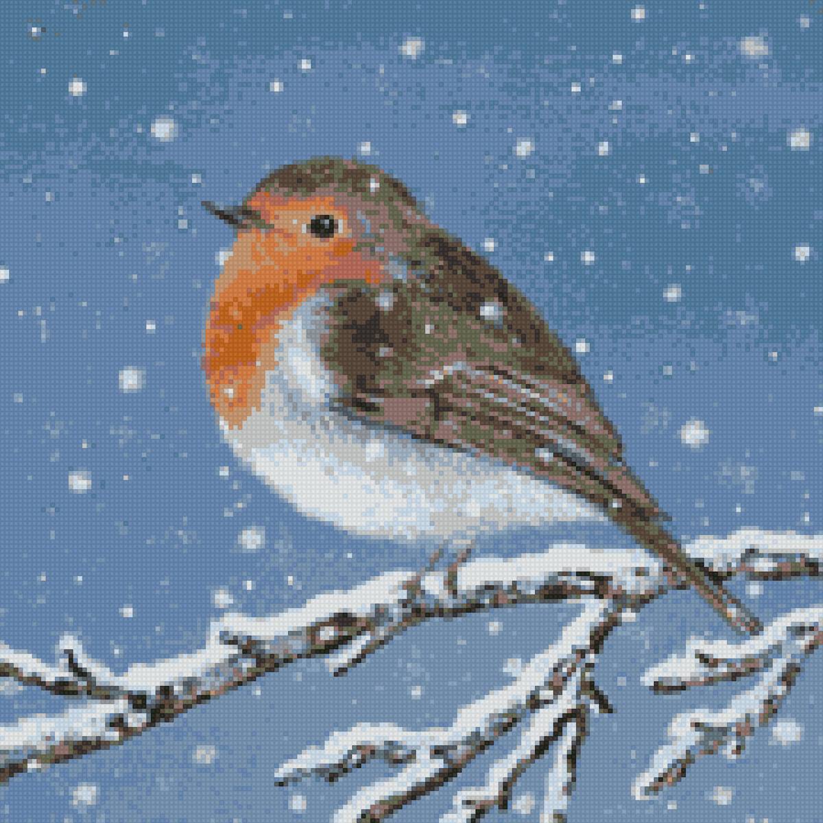 Люси гроссмит - снегирь птицы - предпросмотр