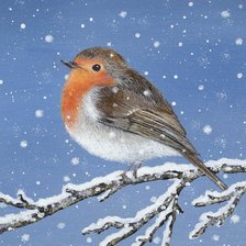 Люси гроссмит