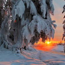 Схема вышивки «№2830539»