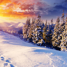 Схема вышивки «№2830545»