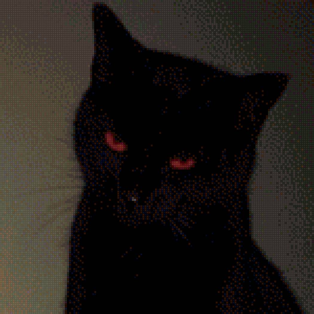 Черный кот - черный кот, кот - предпросмотр