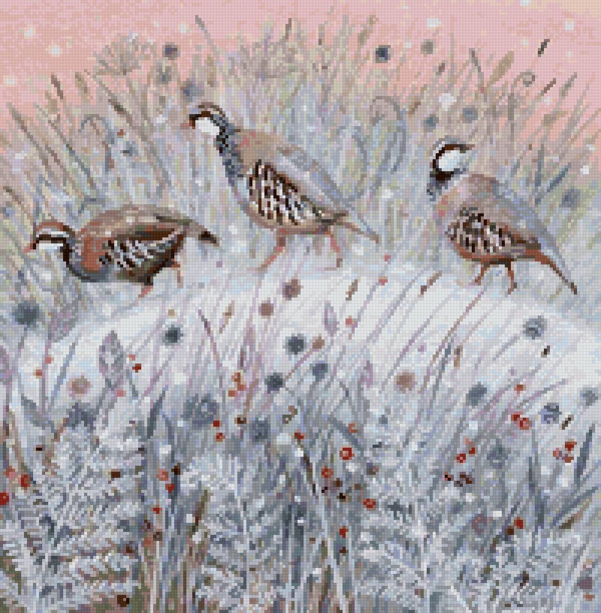 Люси гроссмит - зима птицы - предпросмотр