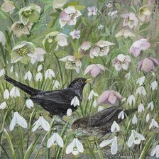 Схема вышивки «Люси гроссмит»