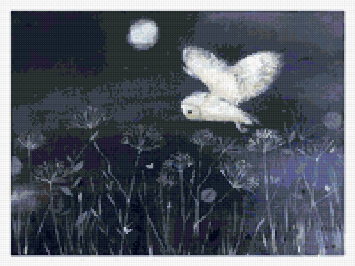 Люси гроссмит - ночь сова - предпросмотр