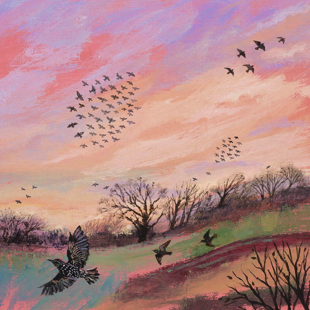 Люси гроссмит - осень птицы - оригинал