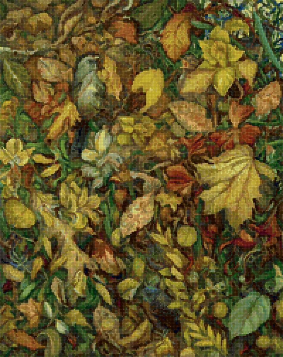 Растения лес - предпросмотр