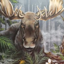 Схема вышивки «Лось»