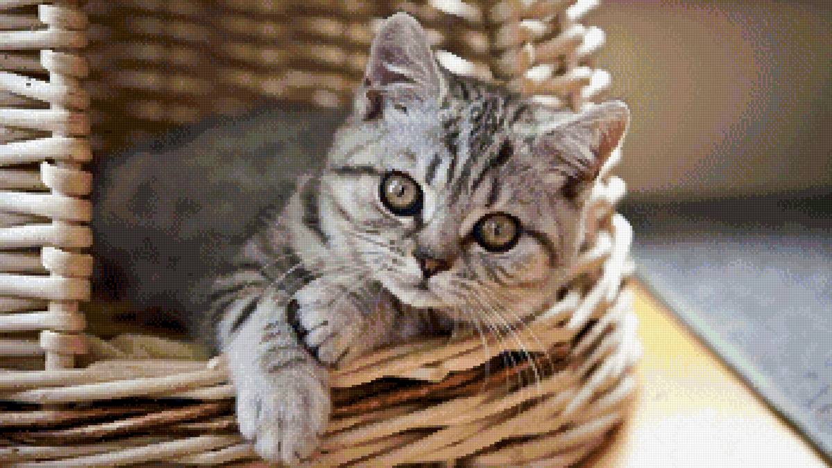 №2831455 - предпросмотр