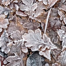 Схема вышивки «Осень-зима»