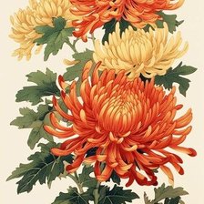 Схема вышивки «Хризантемы»