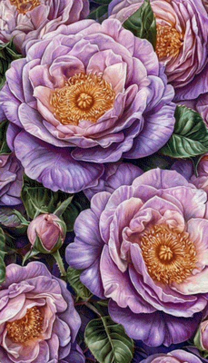 1985 - ale - предпросмотр