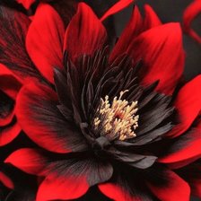 Схема вышивки «Красный цветок»