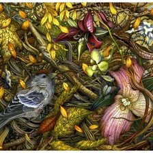 Природа лес птицы