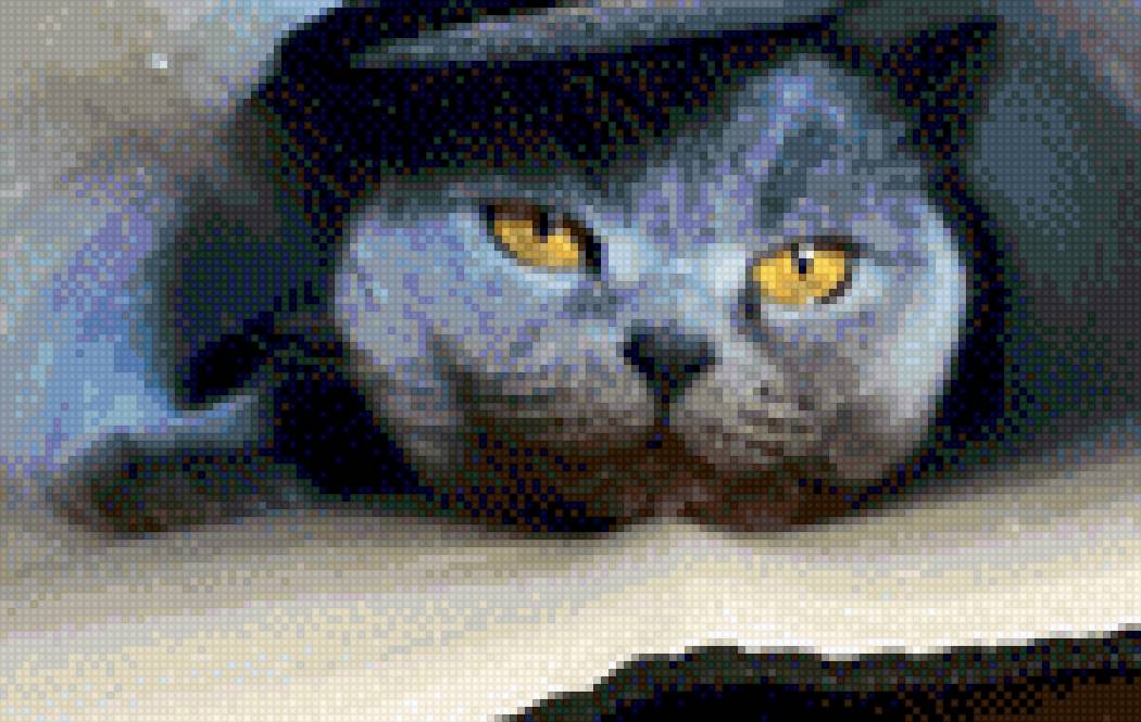 Нора - кошки, вышивка - предпросмотр