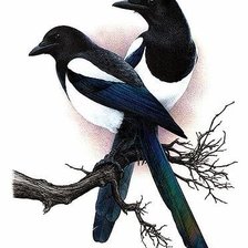 Схема вышивки «Две сороки»