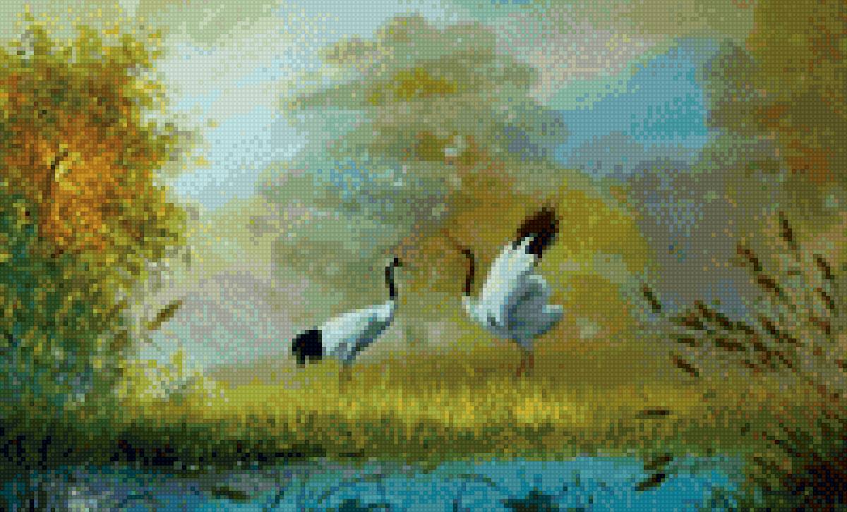 Аисты - птица, аист - предпросмотр