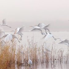 Схема вышивки «время года»