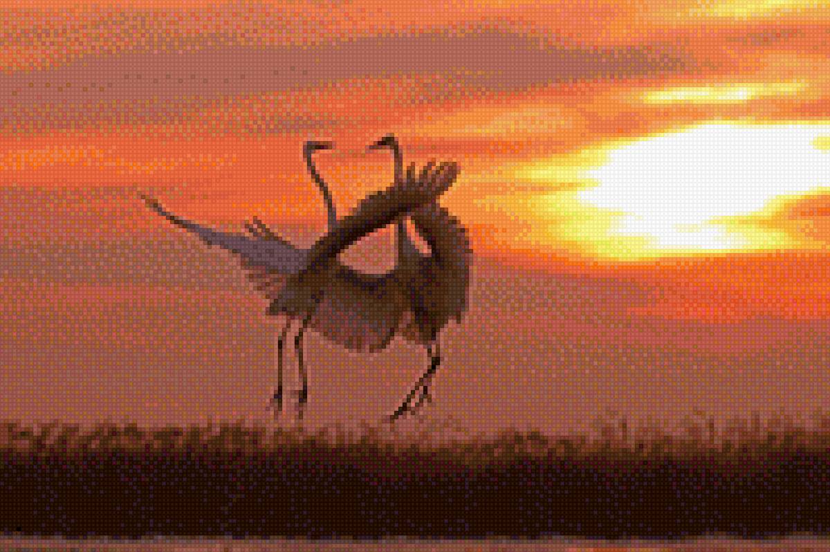 закат - закат, птицы - предпросмотр