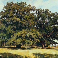 Схема вышивки «Мордвиновские Дубы (Шишкин)»