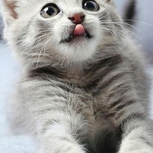 Схема вышивки «№2834639»