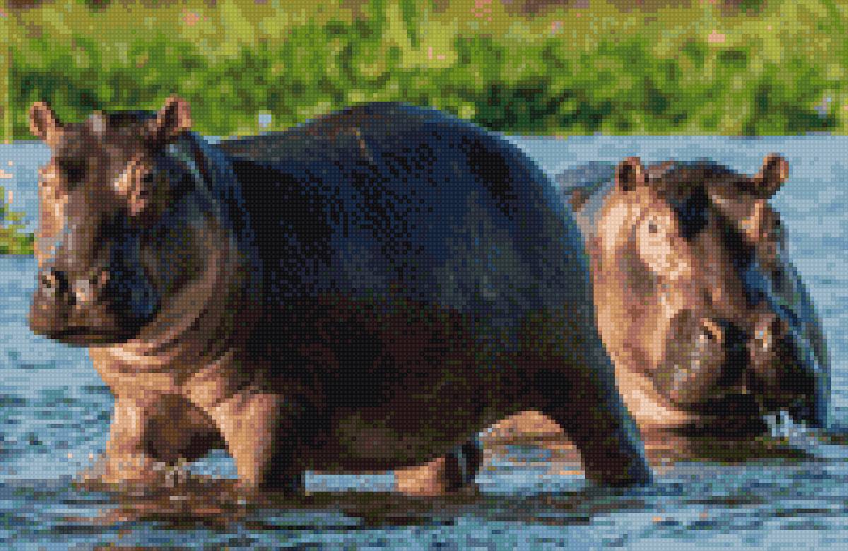 бегимоты - бегимоты, животный мир - предпросмотр