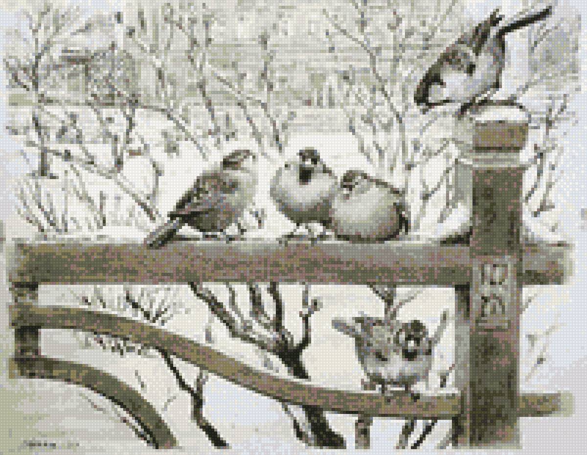 воробьи - зима, воробьи - предпросмотр