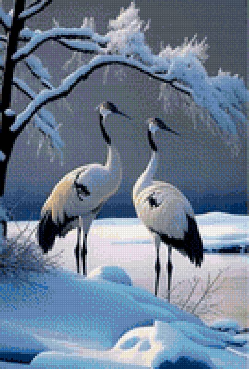 цапли - цапли, птицы - предпросмотр