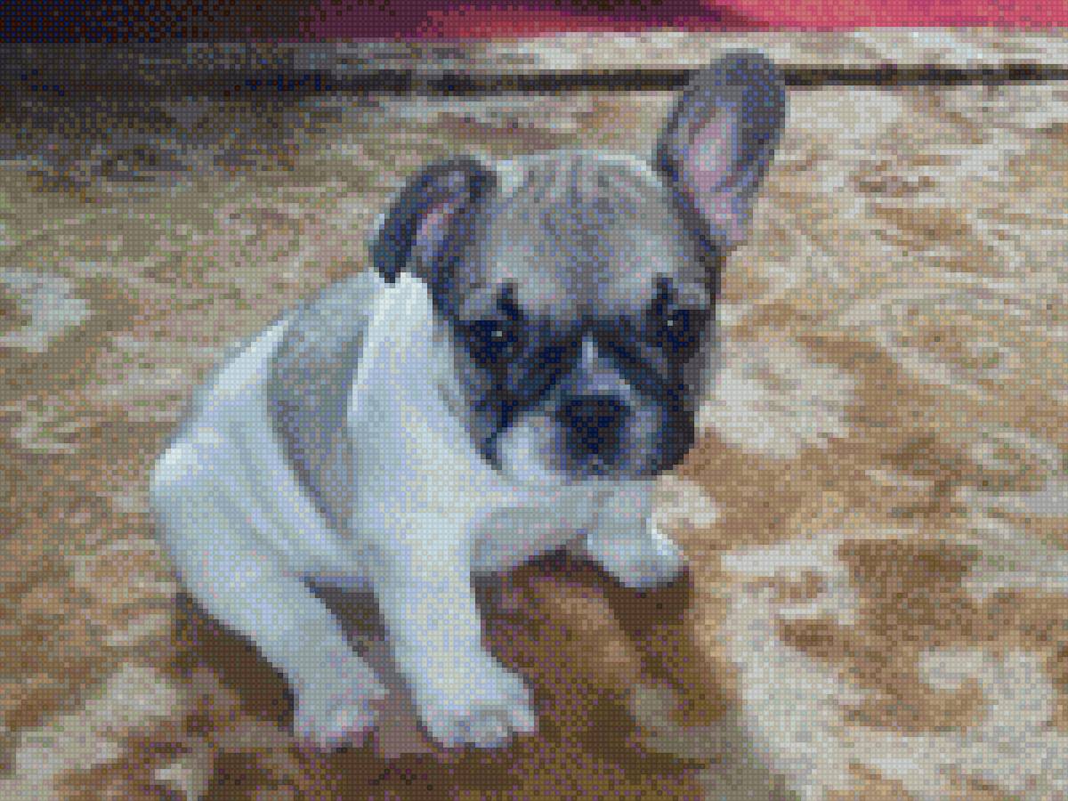 №2835644 - предпросмотр