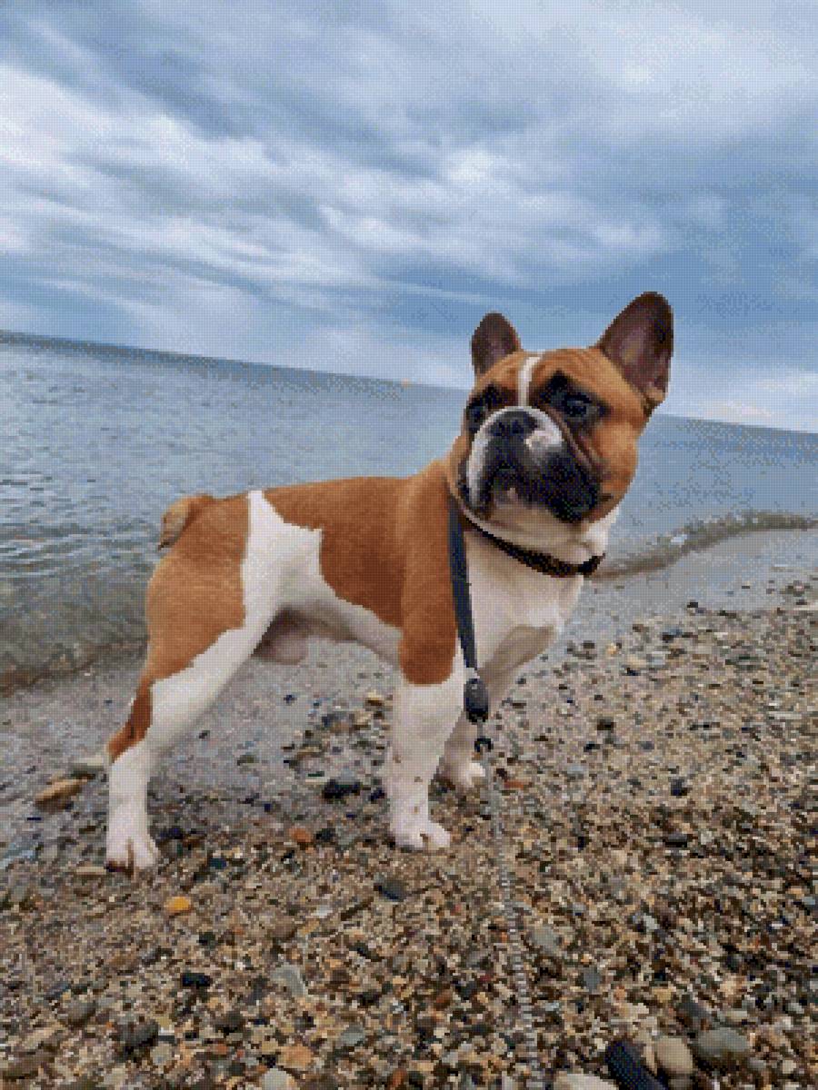 №2835649 - предпросмотр