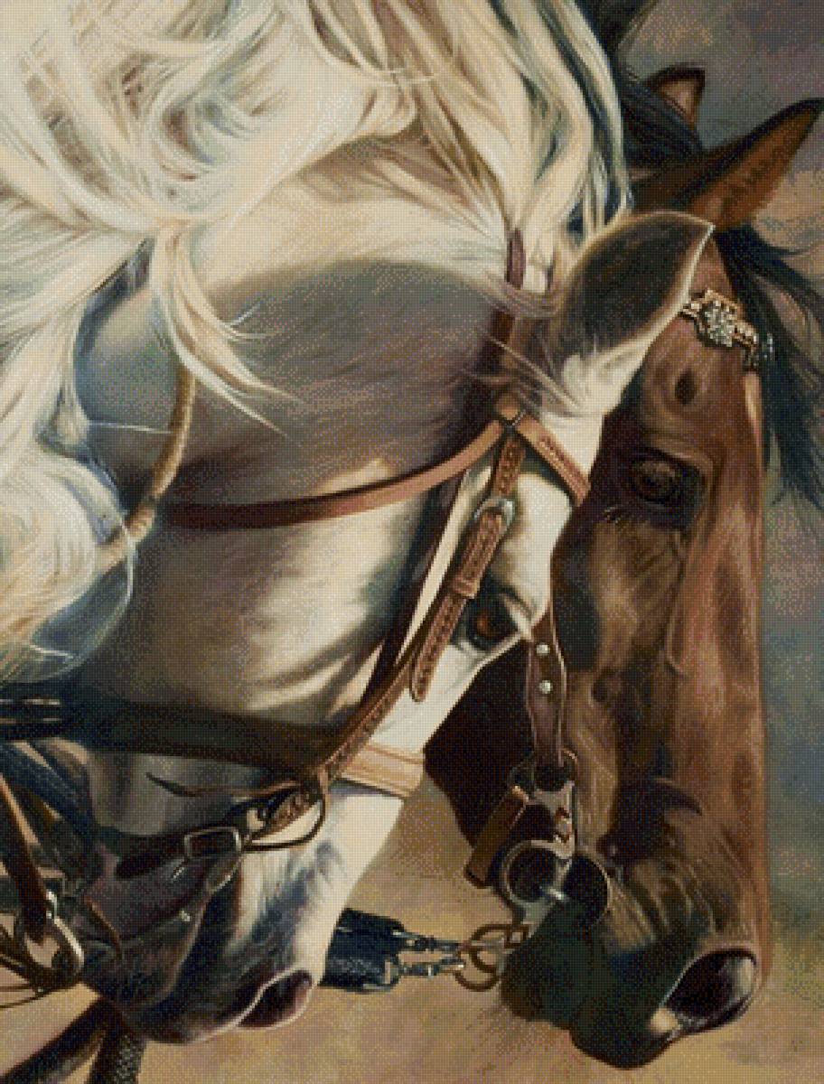 лошади - предпросмотр