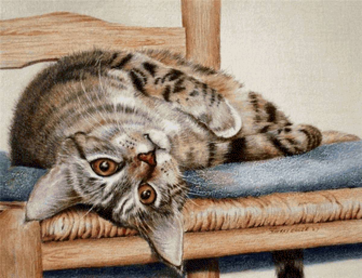 Лентяйка - кот, домашние животные - предпросмотр