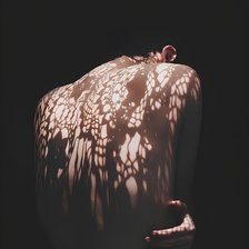 Схема вышивки «Тень»