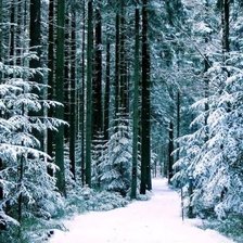 Схема вышивки «№2836621»