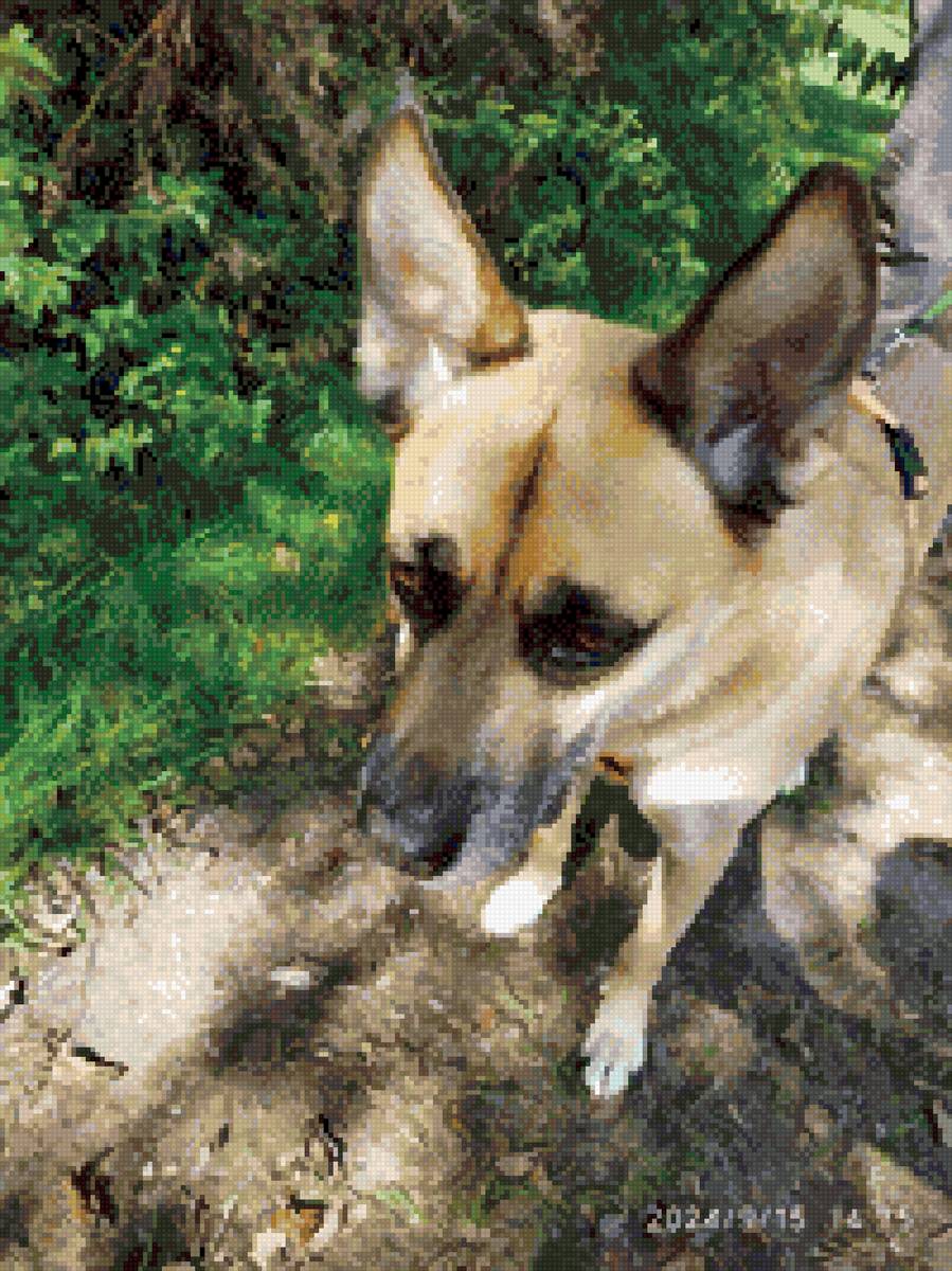 оло - предпросмотр