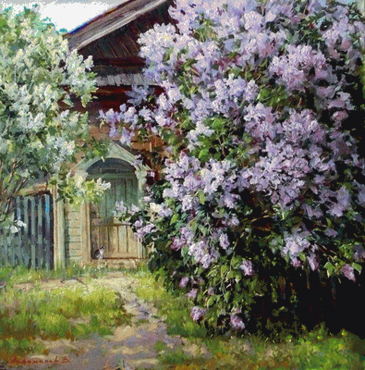 сирень - дача, сирень - предпросмотр