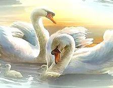 Схема вышивки «Лебединая семья»