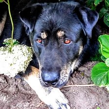 Схема вышивки «Бокс»