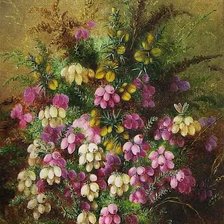 Схема вышивки «Альберт Дюрер лукас»