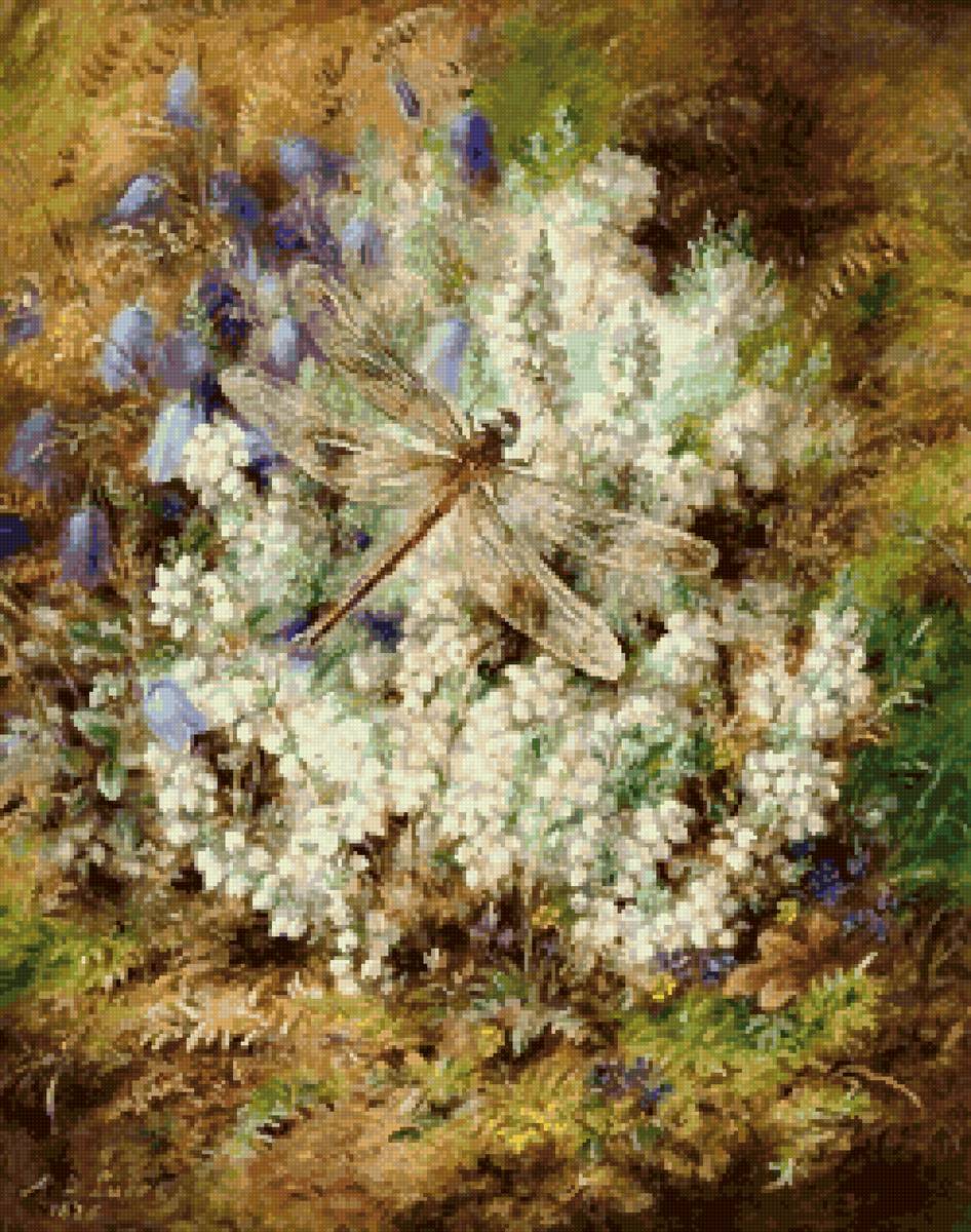 Альберт Дюрер лукас - сад цветы стрекоза - предпросмотр