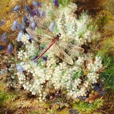 Альберт Дюрер лукас