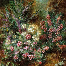 Схема вышивки «Альберт Дюрер лукас»