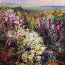 Схема вышивки «Альберт Дюрер лукас»