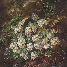 Схема вышивки «Альберт Дюрер лукас»