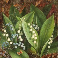 Схема вышивки «Альберт Дюрер лукас»