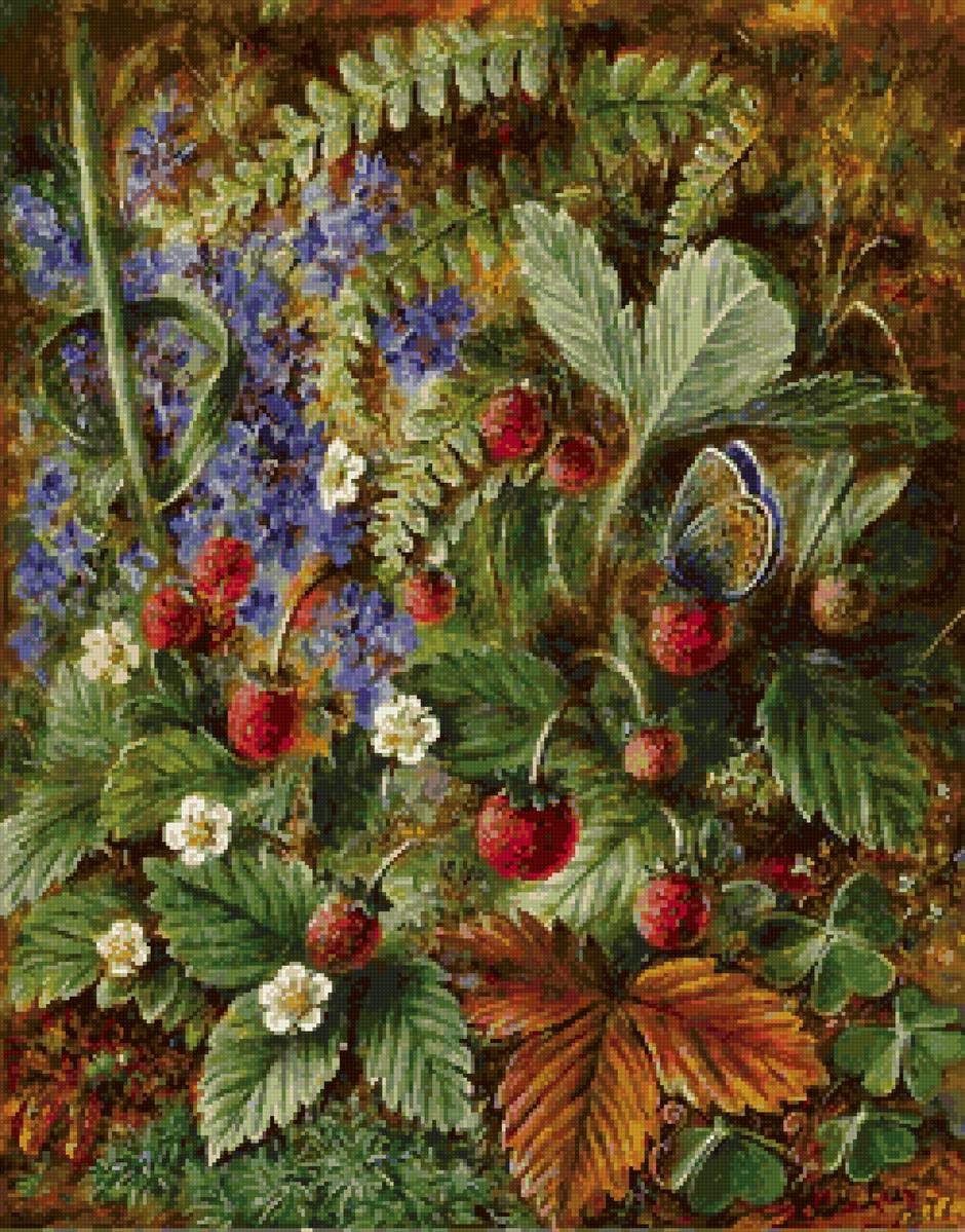 Альберт Дюрер лукас - сад клубника земляника сад природа - предпросмотр