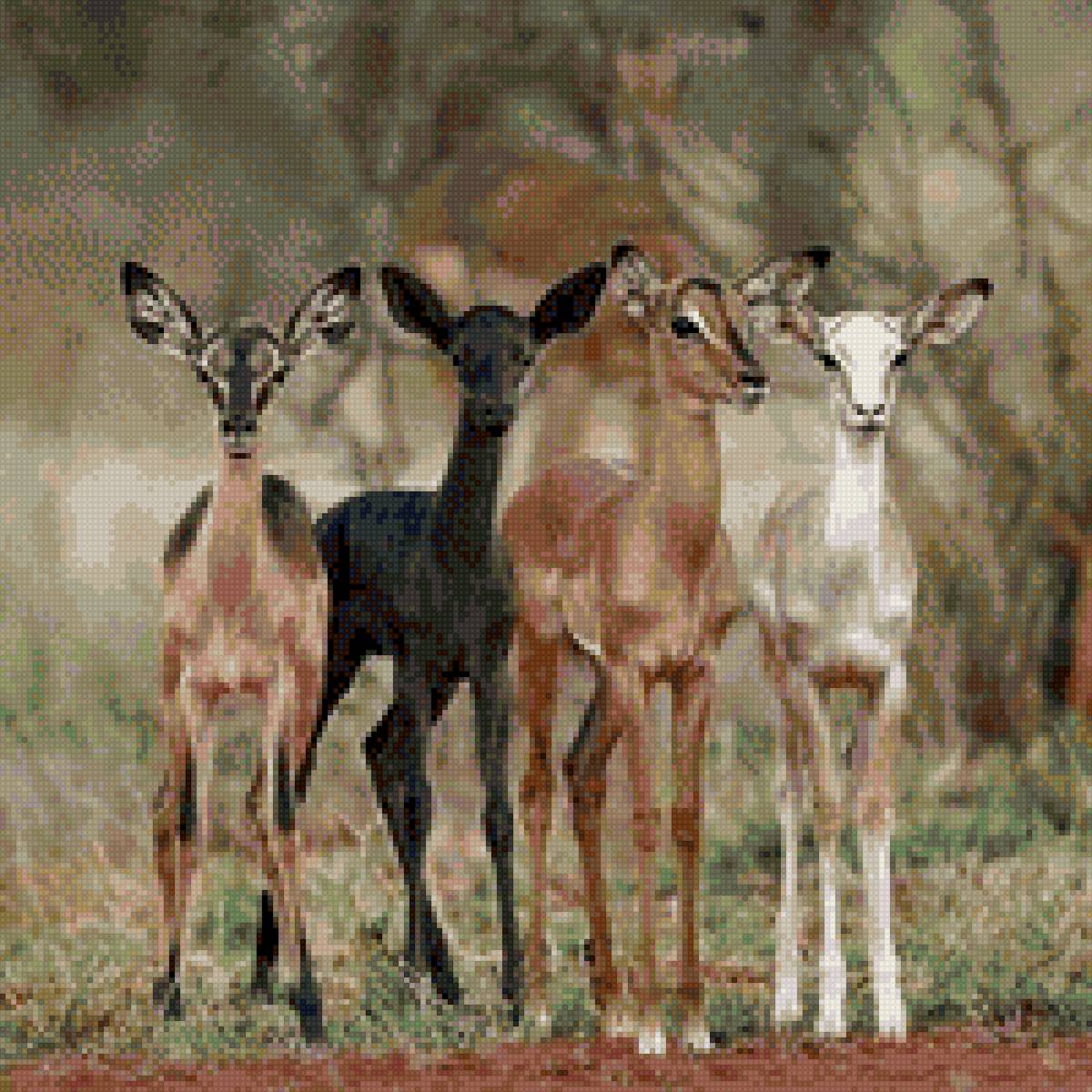 лесные друзья - лес - предпросмотр