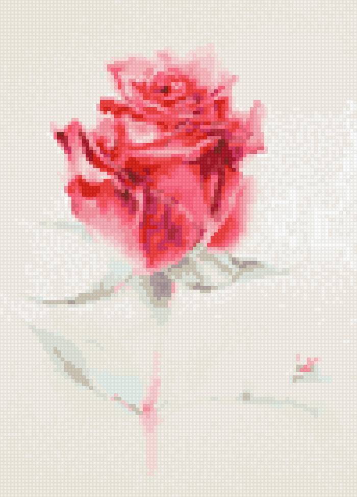 Ла фе - цветы розы - предпросмотр